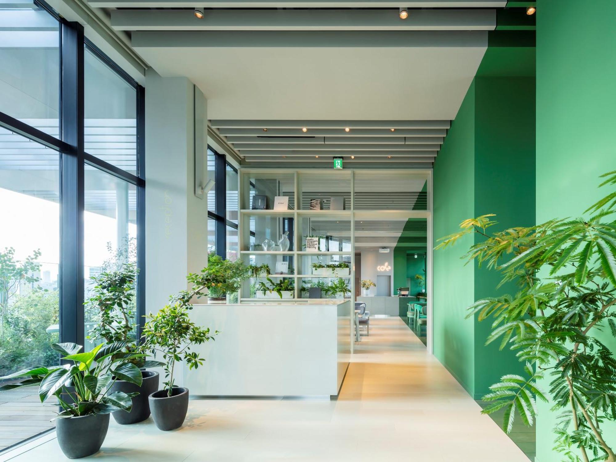 Toggle Hotel Suidobashi Токіо Екстер'єр фото